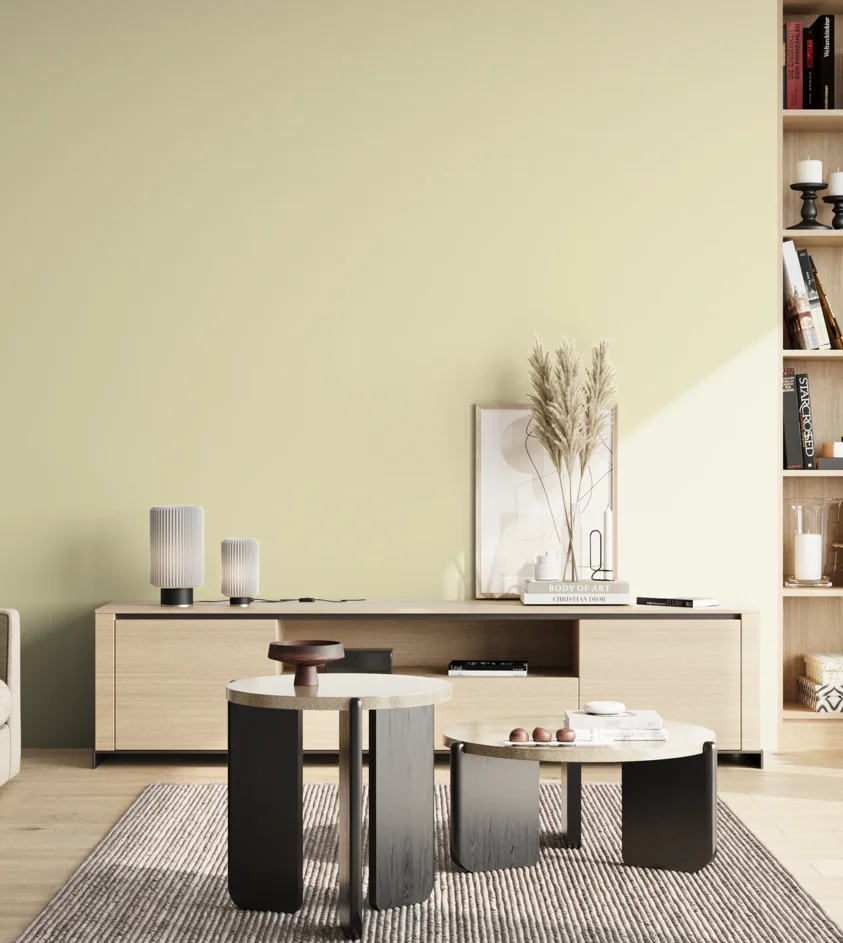 P10_SNIEZKA_salon_02_poludnie_GREY_S0510-G90Y