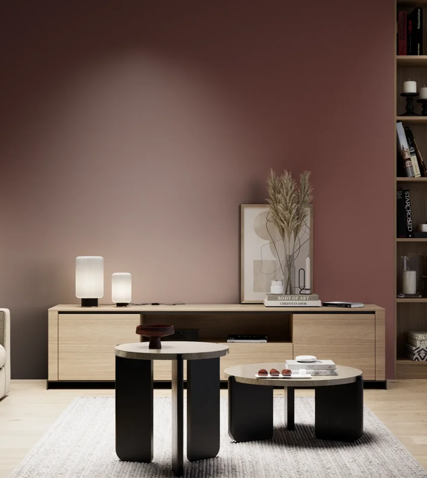 P10_SNIEZKA_salon_05_zimne_GREY_RAL3009