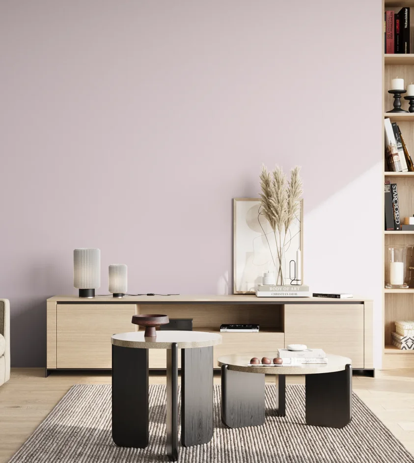 P10_SNIEZKA_salon_02_poludnie_GREY_S0510-R40B