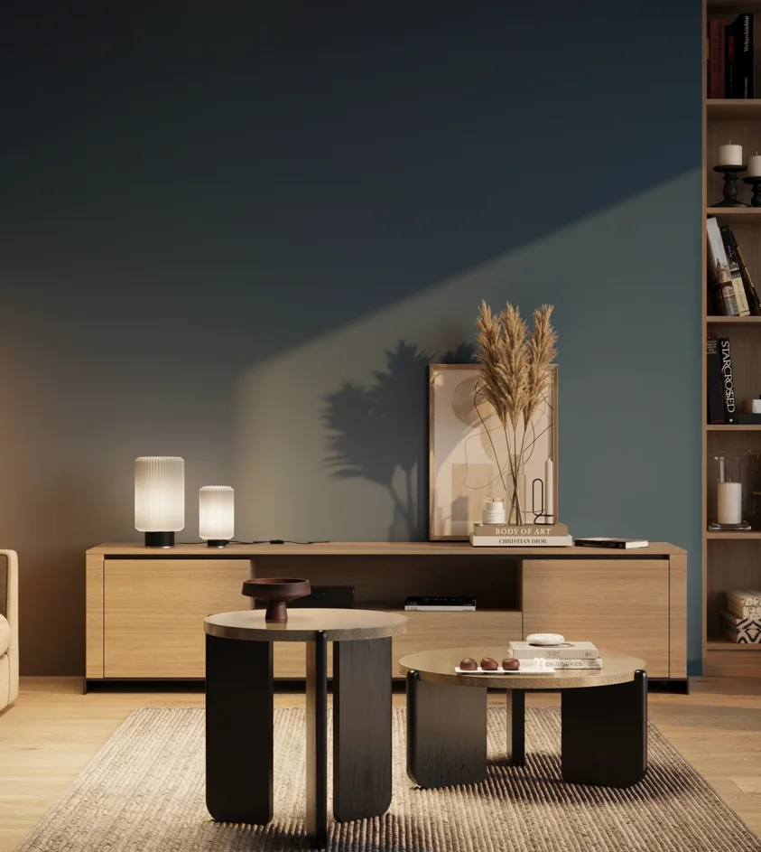 P10_SNIEZKA_salon_03_wieczor_GREY_RAL5010