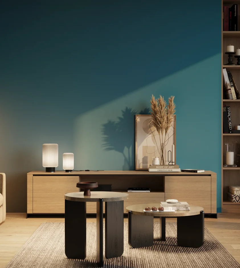 P10_SNIEZKA_salon_03_wieczor_GREY_RAL5015