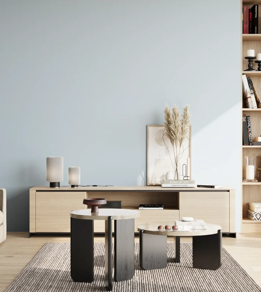 P10_SNIEZKA_salon_02_poludnie_GREY_S0510-R90B