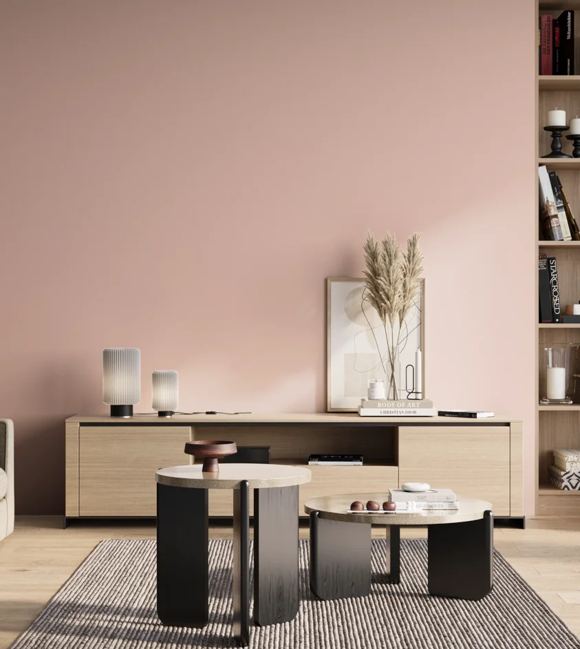 P10_SNIEZKA_salon_01_poranek_GREY_C33