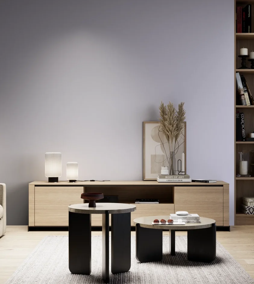 P10_SNIEZKA_salon_05_zimne_GREY_C65