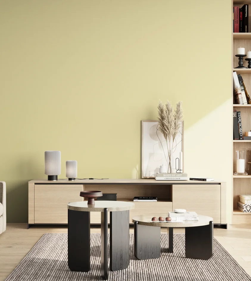P10_SNIEZKA_salon_02_poludnie_GREY_S0515-G90Y