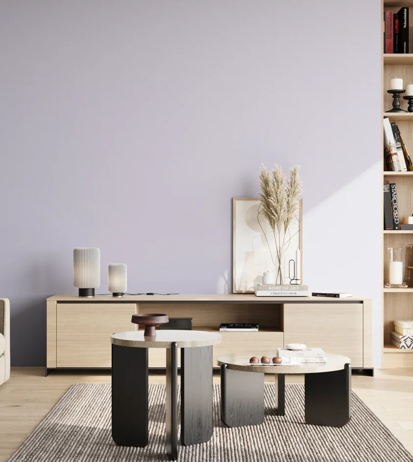 P10_SNIEZKA_salon_02_poludnie_GREY_S0515-R60B