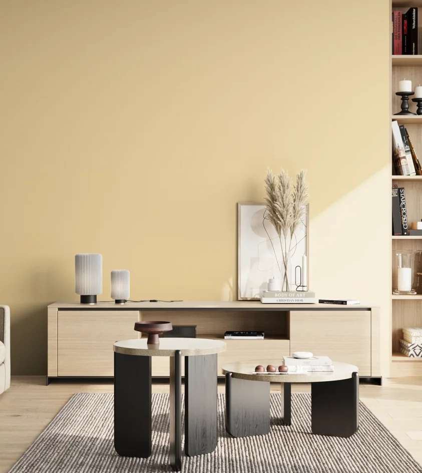P10_SNIEZKA_salon_02_poludnie_GREY_S0515-Y20R