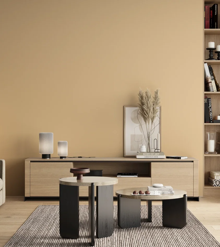 P10_SNIEZKA_salon_00_neutral_GREY_S0515-Y30R