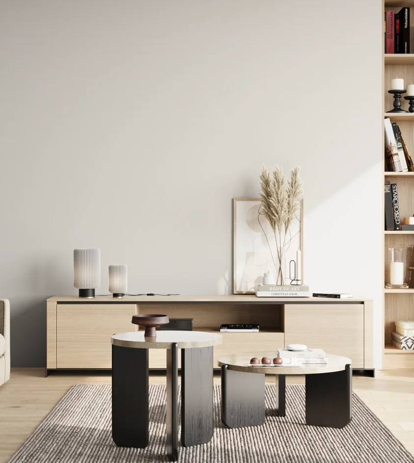 P10_SNIEZKA_salon_02_poludnie_GREY_RAL9003