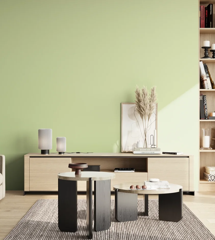 P10_SNIEZKA_salon_02_poludnie_GREY_S0520-G40Y