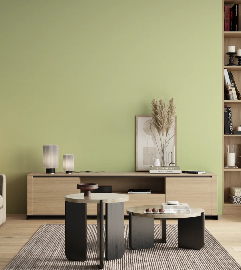 P10_SNIEZKA_salon_00_neutral_GREY_S0520-G50Y
