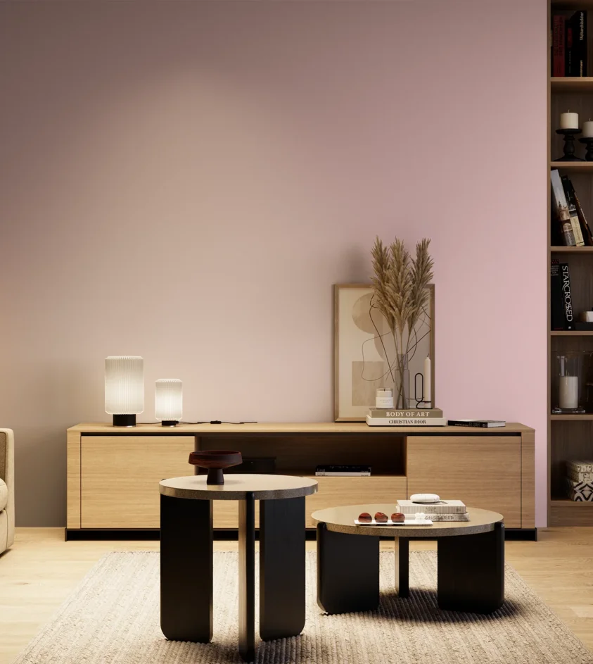 P10_SNIEZKA_salon_04_cieple_GREY_S0520-R20B