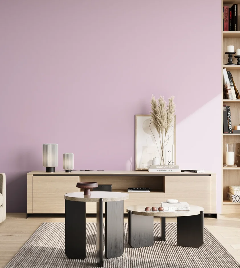 P10_SNIEZKA_salon_02_poludnie_GREY_S0520-R40B