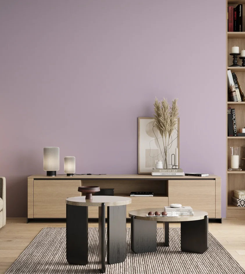 P10_SNIEZKA_salon_00_neutral_GREY_S0520-R50B