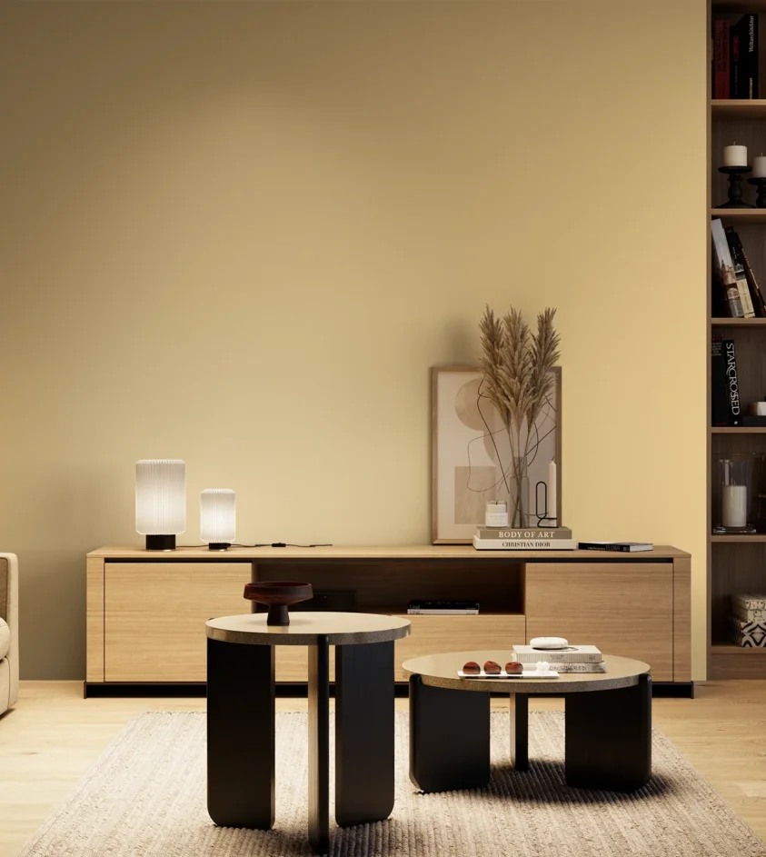 P10_SNIEZKA_salon_04_cieple_GREY_S0520-Y20R