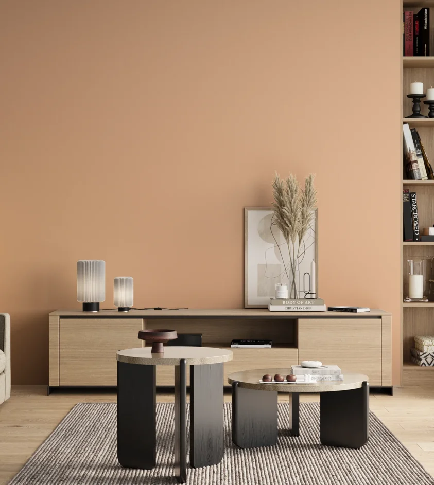 P10_SNIEZKA_salon_00_neutral_GREY_S0520-Y50R
