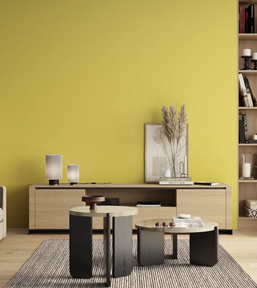 P10_SNIEZKA_salon_00_neutral_GREY_C16