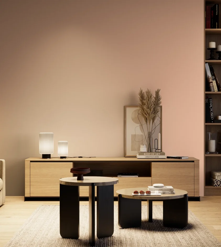 P10_SNIEZKA_salon_04_cieple_GREY_S0520-Y70R