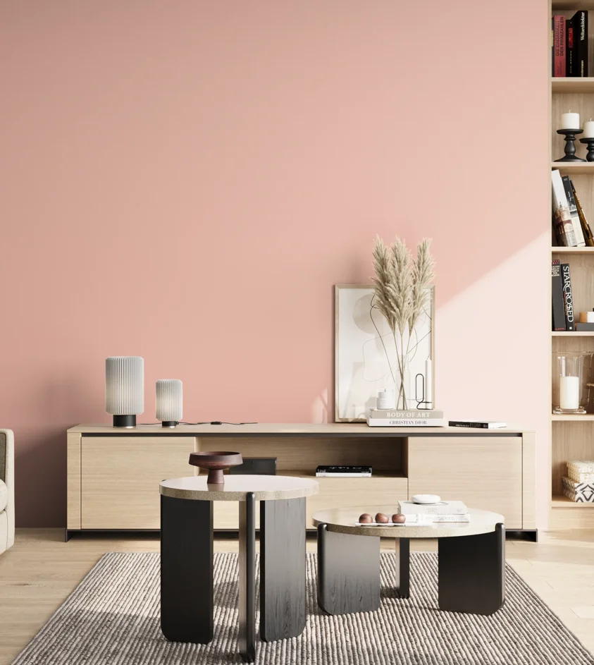 P10_SNIEZKA_salon_02_poludnie_GREY_S0520-Y90R
