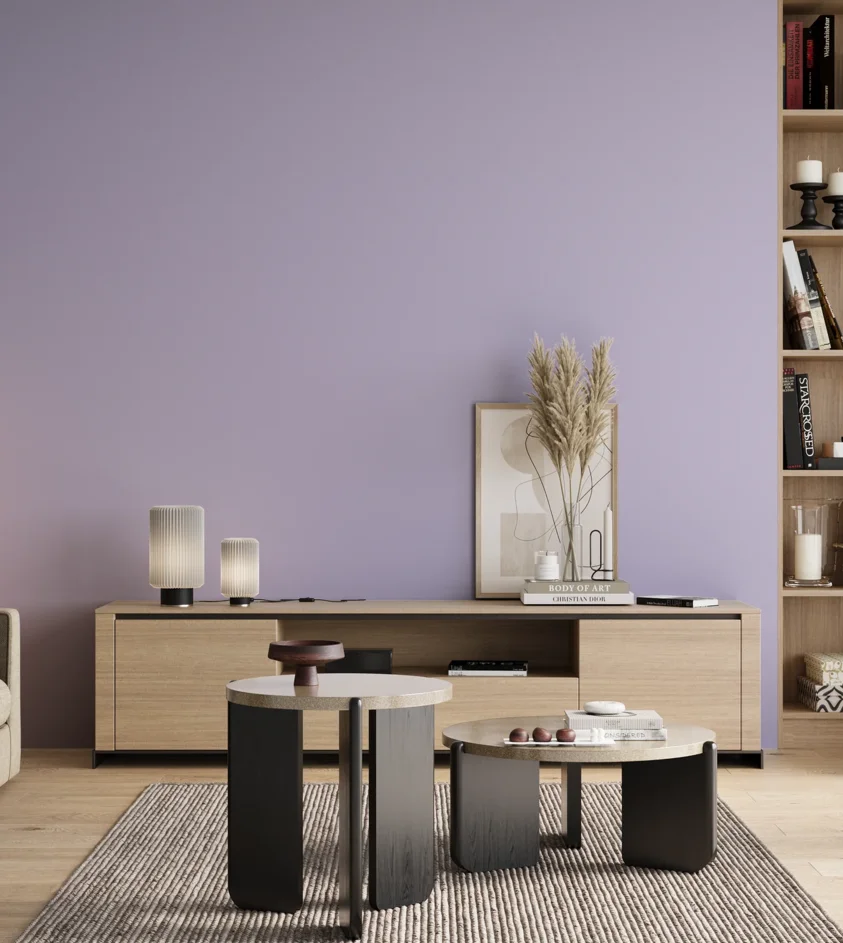 P10_SNIEZKA_salon_00_neutral_GREY_S0525-R60B