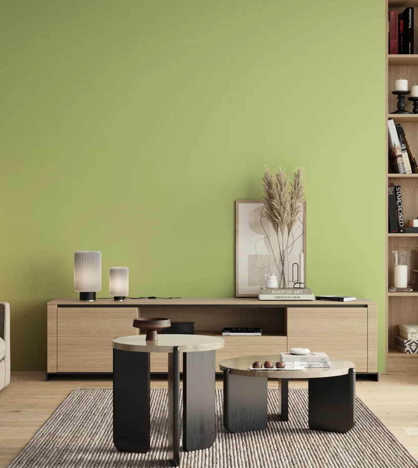 P10_SNIEZKA_salon_00_neutral_GREY_S0530-G50Y
