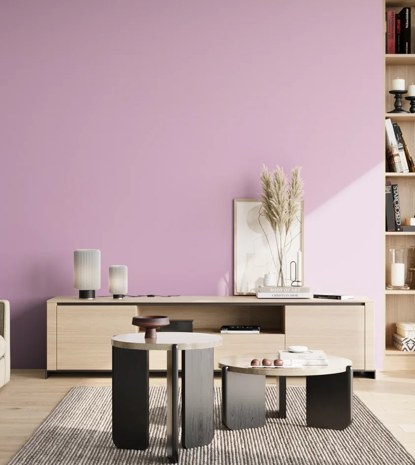 P10_SNIEZKA_salon_02_poludnie_GREY_S0530-R40B