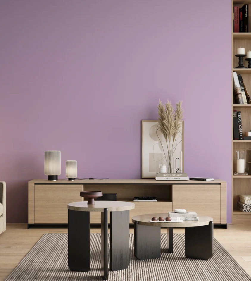 P10_SNIEZKA_salon_00_neutral_GREY_S0530-R50B