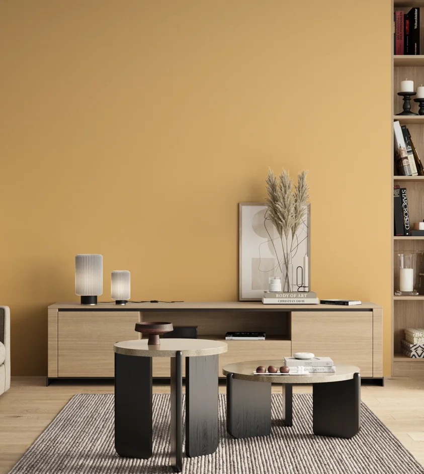 P10_SNIEZKA_salon_00_neutral_GREY_S0530-Y20R