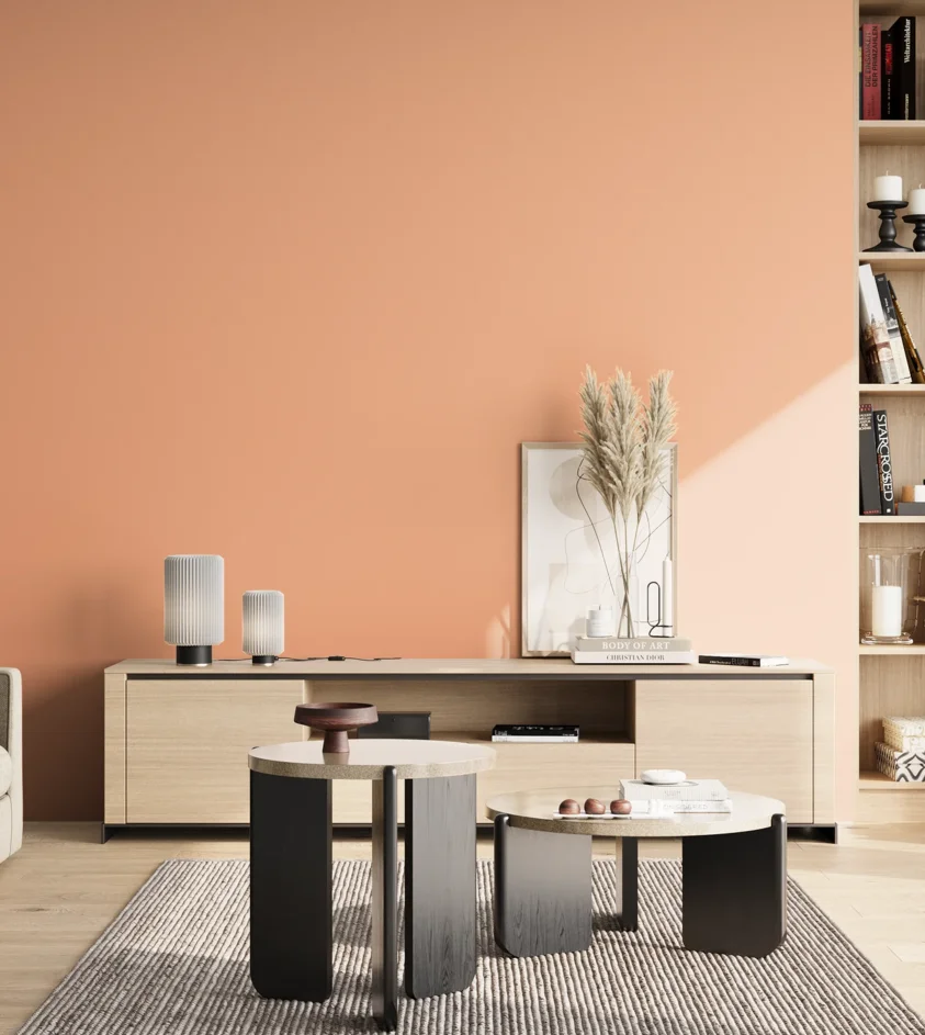 P10_SNIEZKA_salon_02_poludnie_GREY_S0530-Y60R