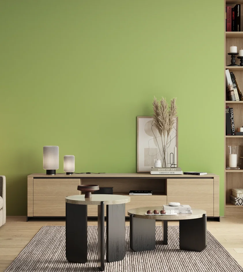 P10_SNIEZKA_salon_00_neutral_GREY_S0540-G40Y