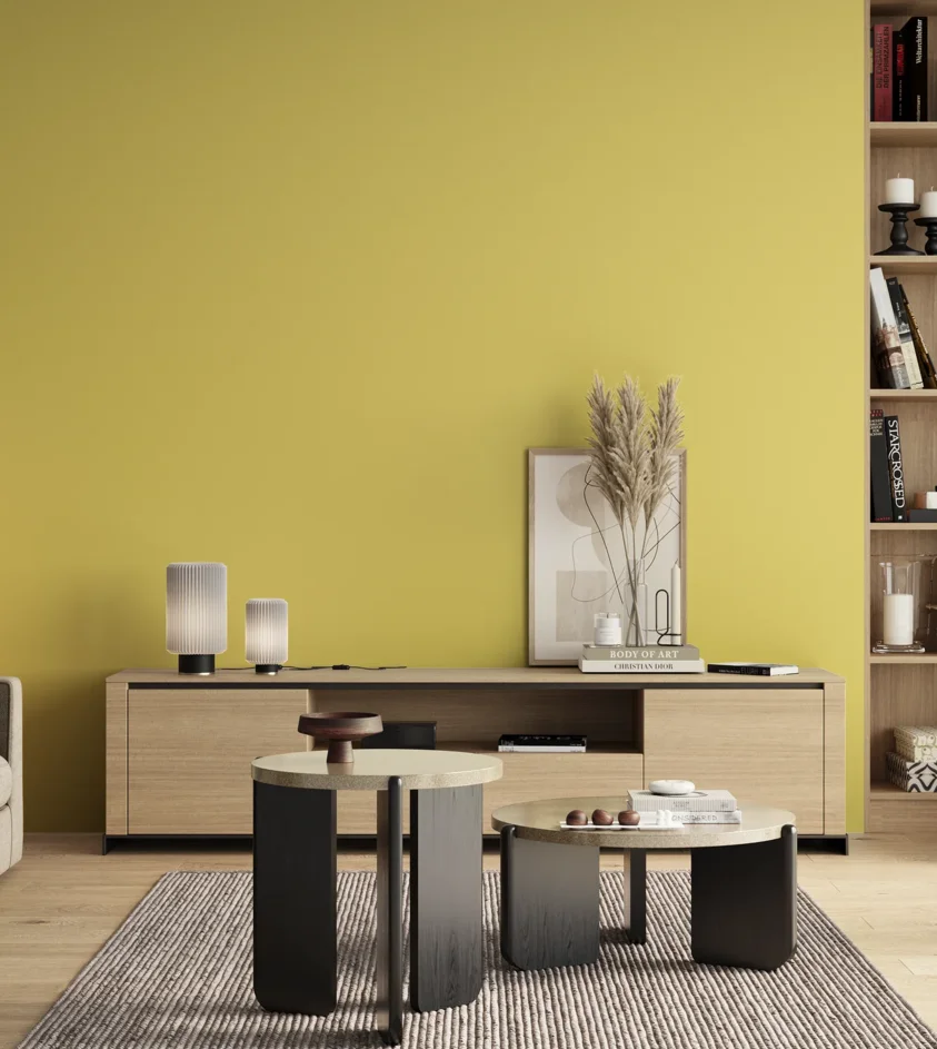P10_SNIEZKA_salon_00_neutral_GREY_S0540-G90Y