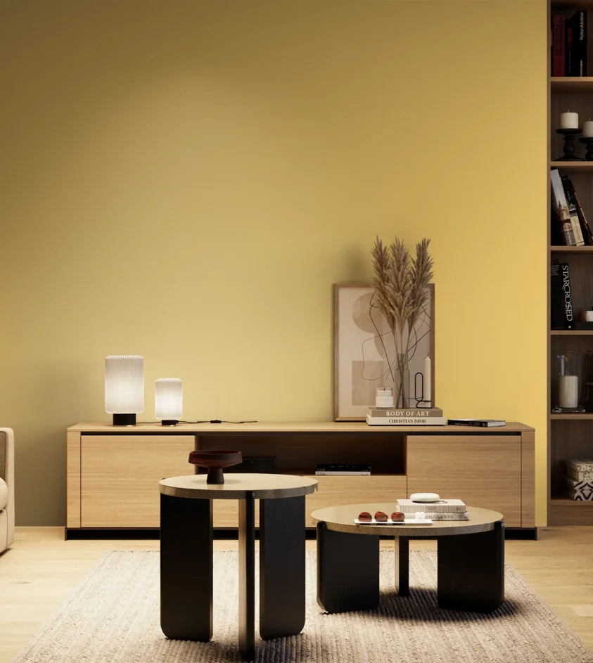 P10_SNIEZKA_salon_04_cieple_GREY_S0540-Y10R