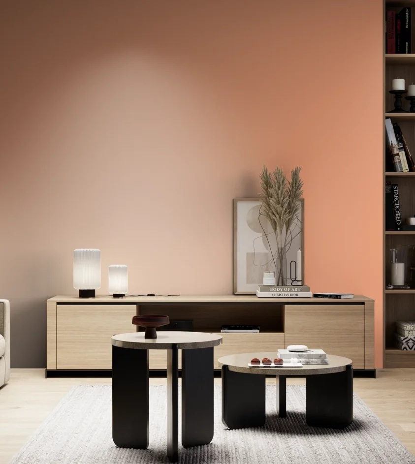 P10_SNIEZKA_salon_05_zimne_GREY_S0540-Y60R