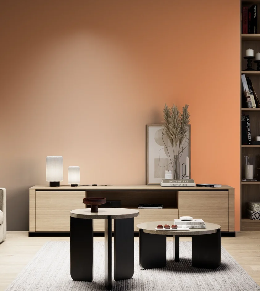 P10_SNIEZKA_salon_05_zimne_GREY_S0550-Y50R