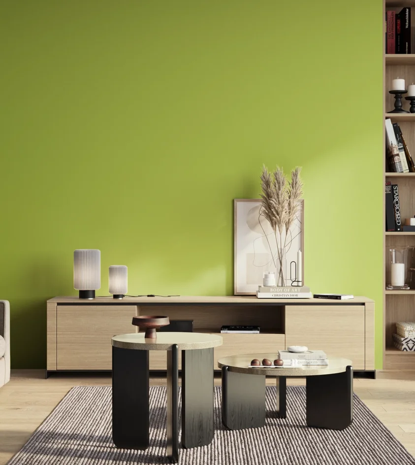 P10_SNIEZKA_salon_01_poranek_GREY_S0560-G50Y