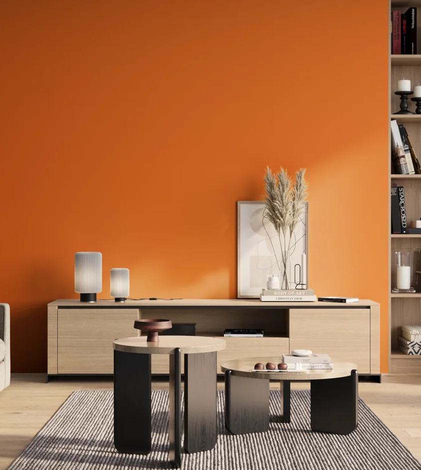 P10_SNIEZKA_salon_01_poranek_GREY_S0585-Y50R