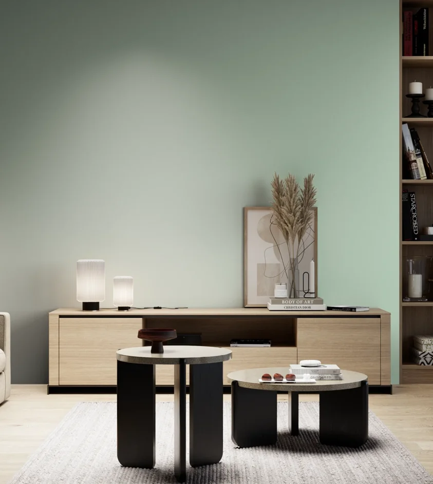 P10_SNIEZKA_salon_05_zimne_GREY_S1015-G