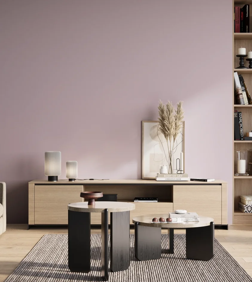 P10_SNIEZKA_salon_01_poranek_GREY_S1015-R40B