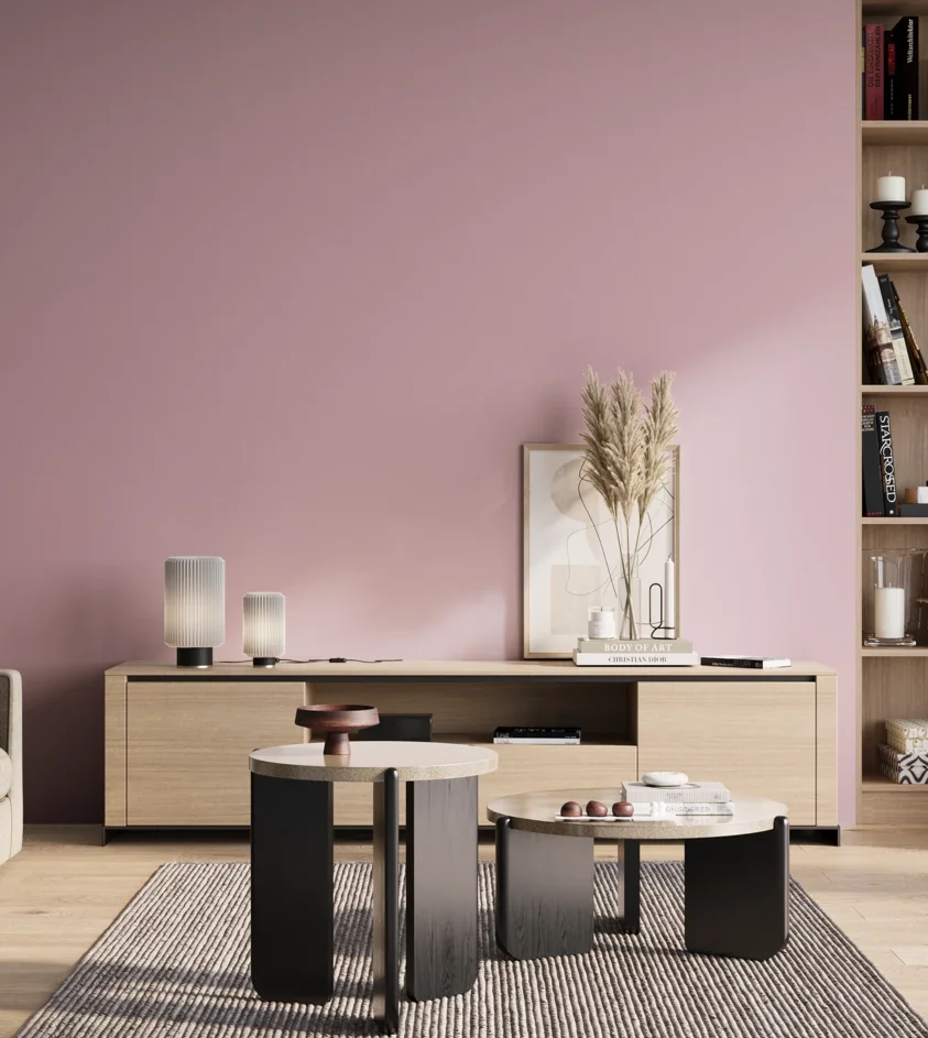 P10_SNIEZKA_salon_01_poranek_GREY_S1020-R30B