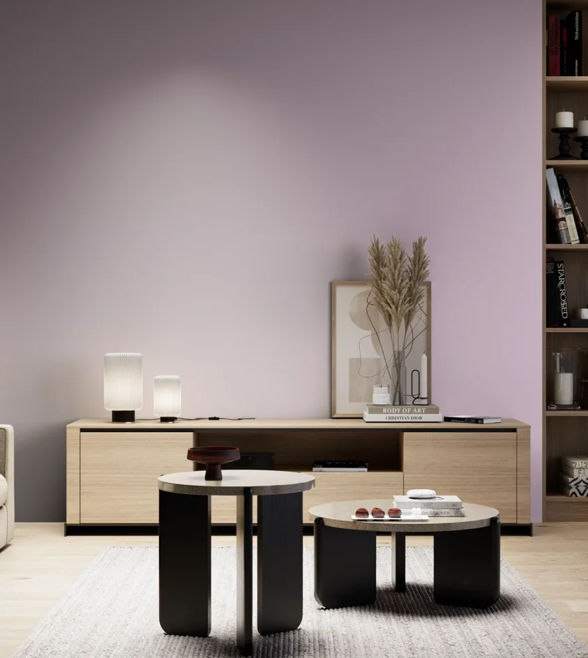 P10_SNIEZKA_salon_05_zimne_GREY_S1020-R40B