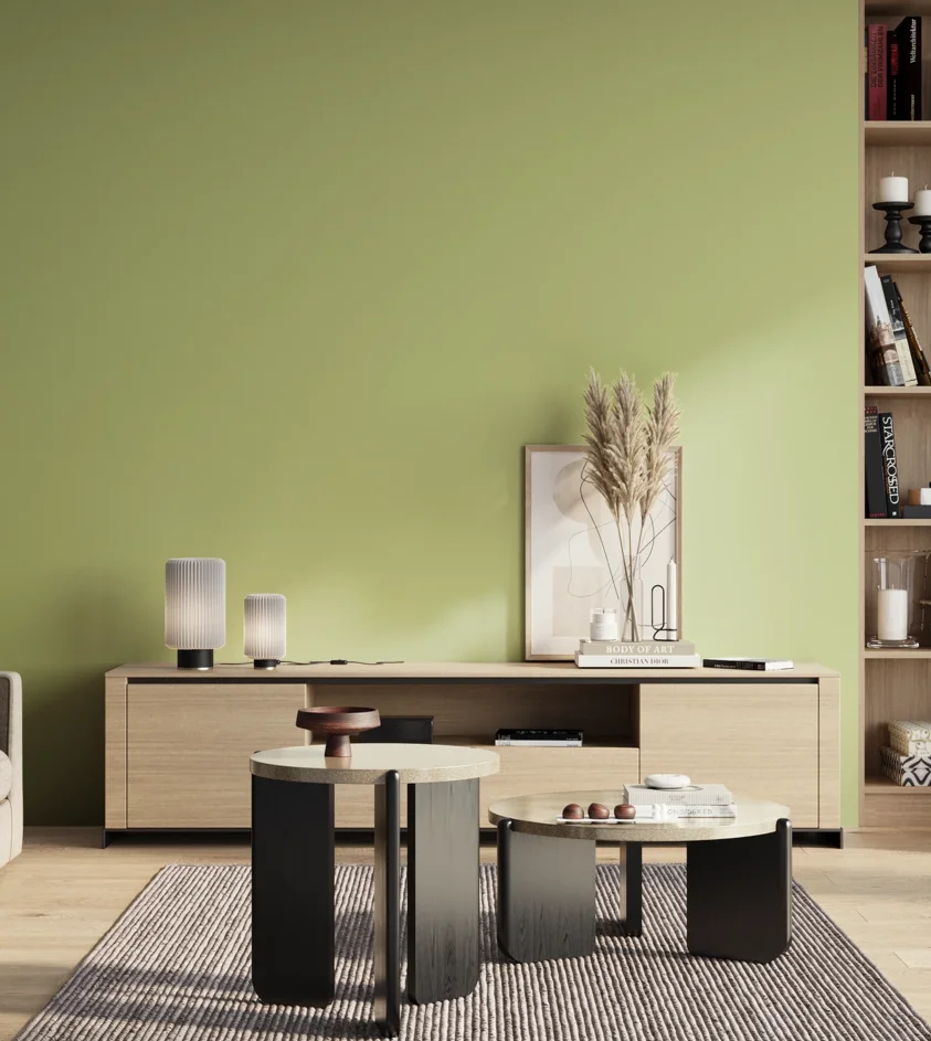 P10_SNIEZKA_salon_01_poranek_GREY_S1030-G50Y