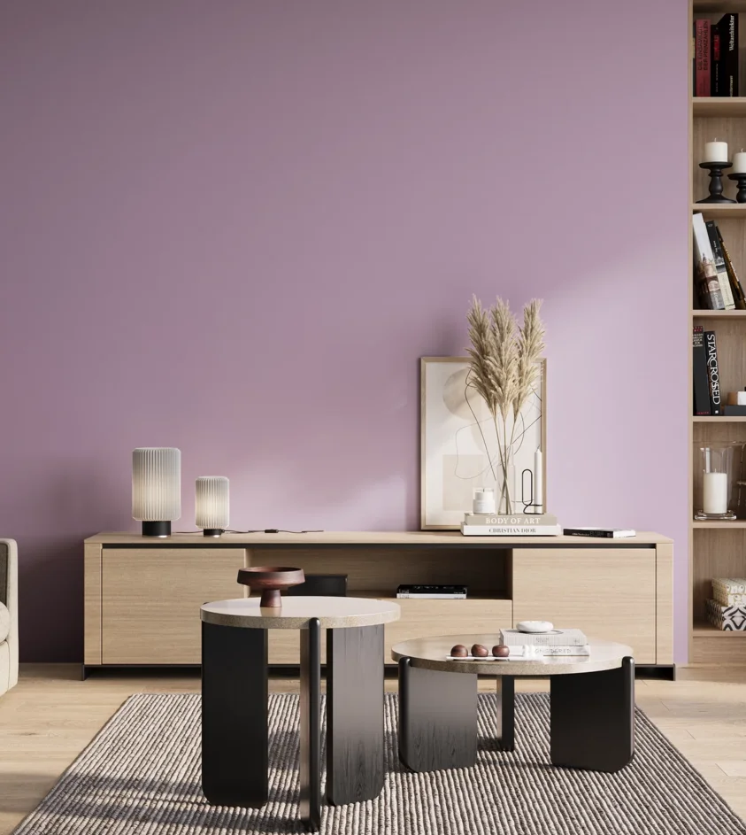 P10_SNIEZKA_salon_01_poranek_GREY_S1030-R50B