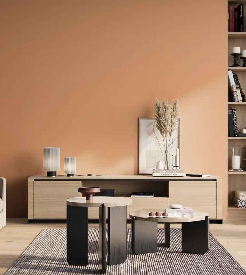P10_SNIEZKA_salon_01_poranek_GREY_S1030-Y50R
