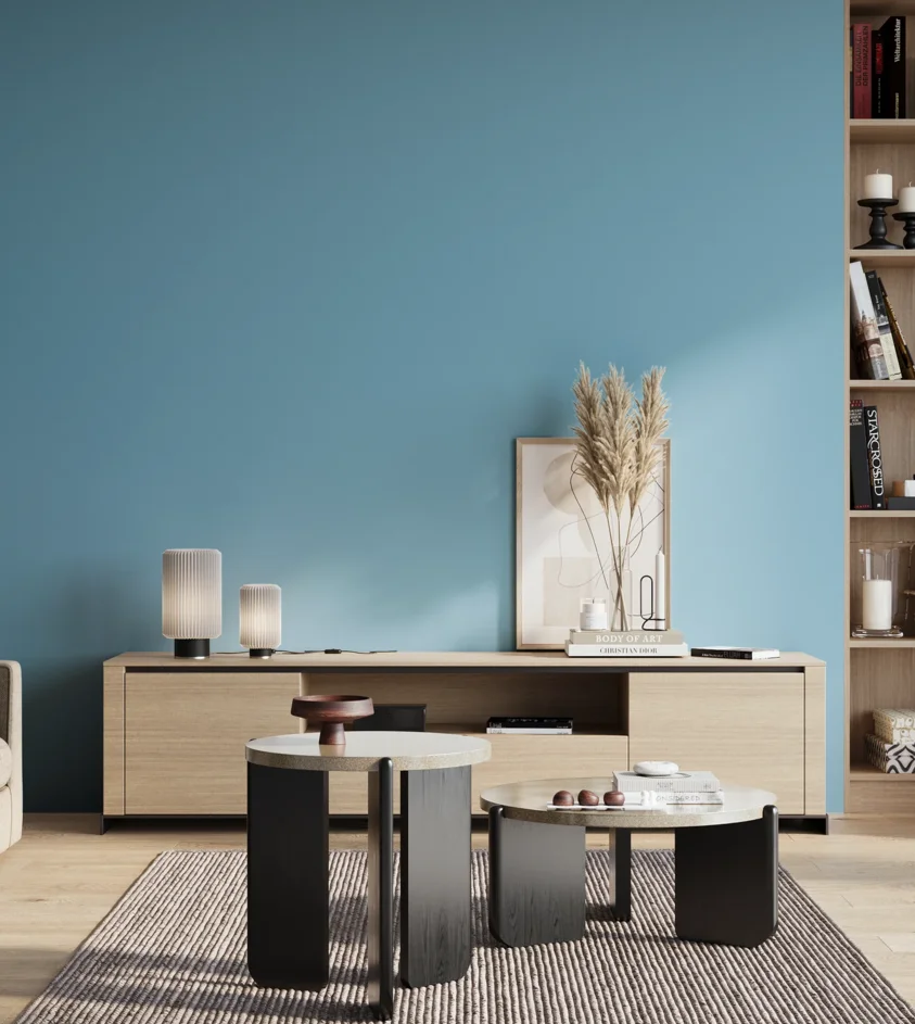 P10_SNIEZKA_salon_01_poranek_GREY_S1040-B