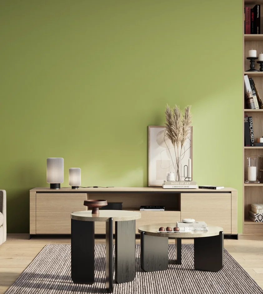 P10_SNIEZKA_salon_01_poranek_GREY_S1040-G50Y