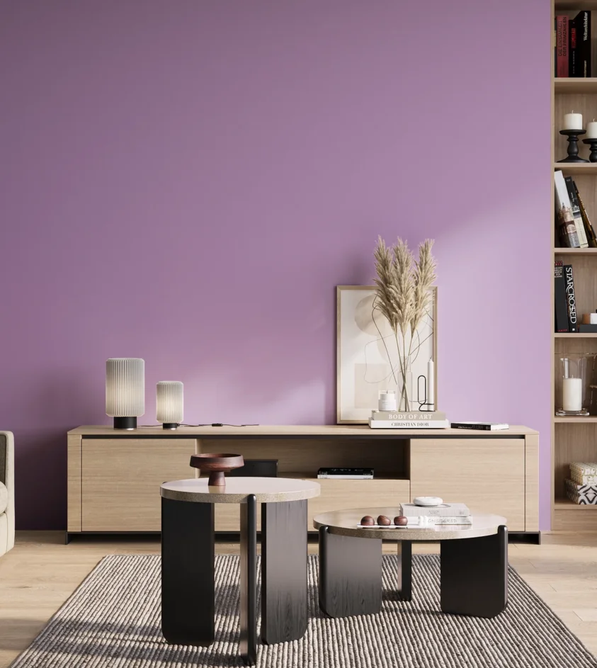 P10_SNIEZKA_salon_01_poranek_GREY_S1040-R50B