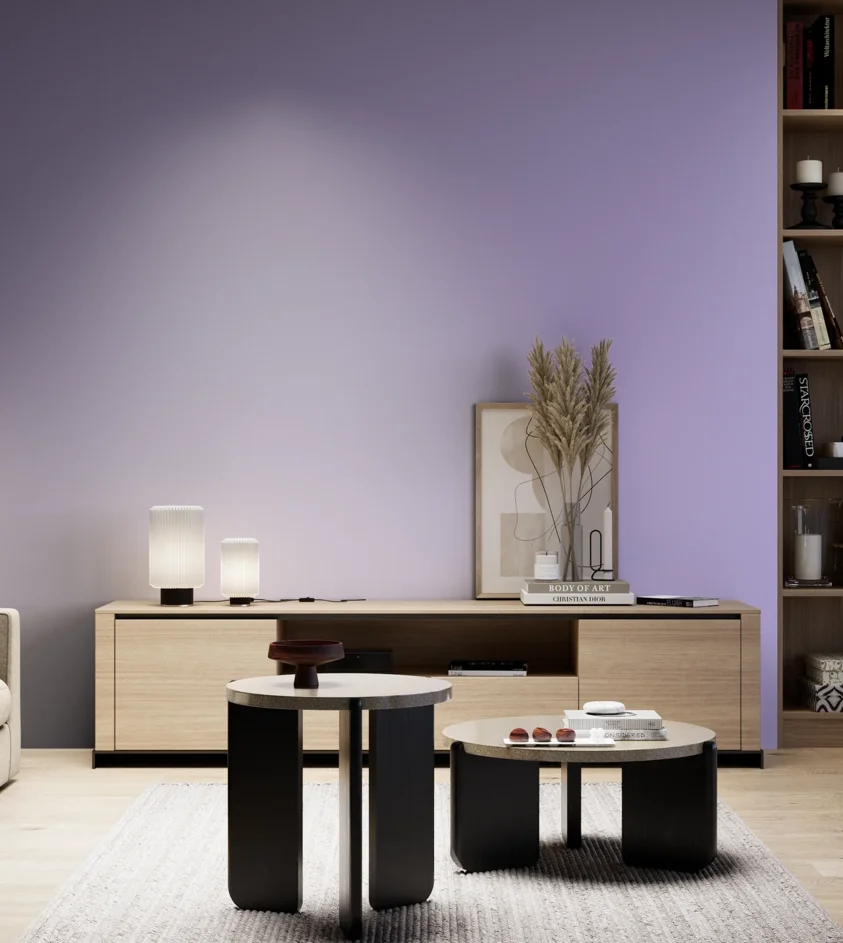 P10_SNIEZKA_salon_05_zimne_GREY_S1040-R60B