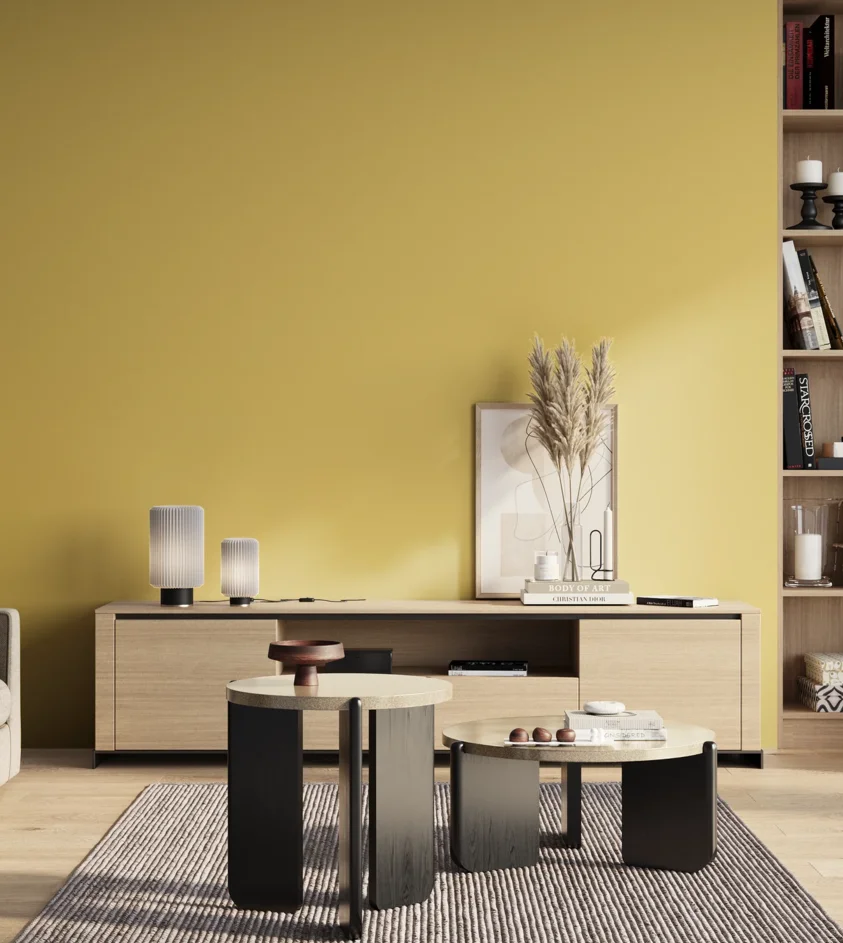 P10_SNIEZKA_salon_01_poranek_GREY_S1040-Y