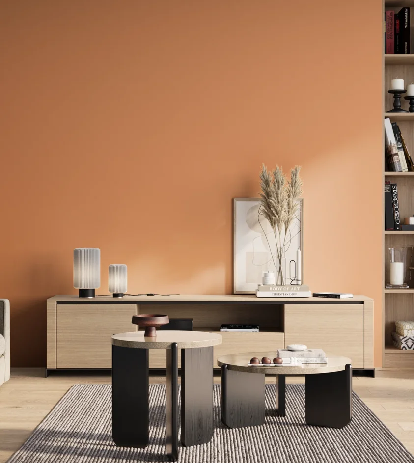 P10_SNIEZKA_salon_01_poranek_GREY_S1040-Y50R