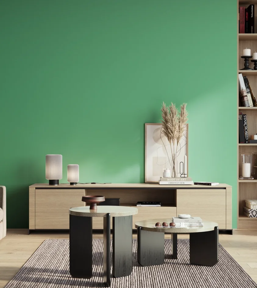 P10_SNIEZKA_salon_01_poranek_GREY_S1050-G